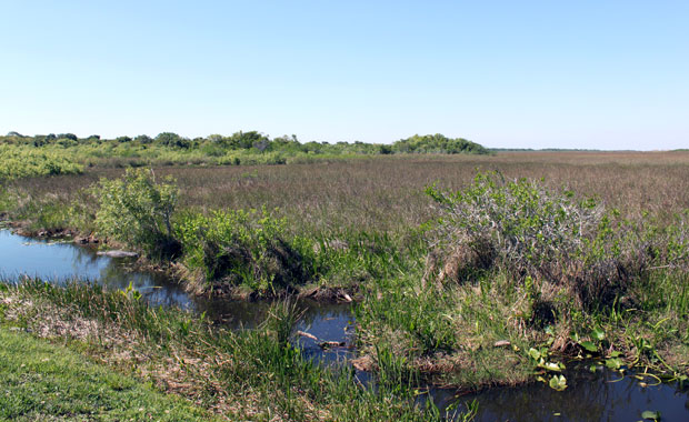 Everglades - Entrée de Homestead