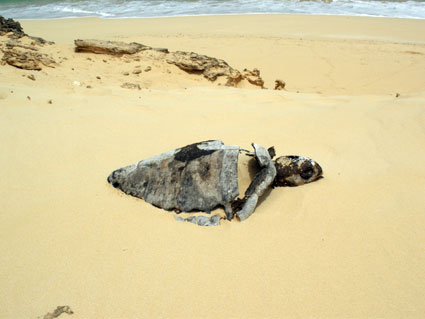 Praia Varandinha