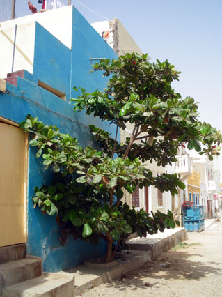 Boa Vista - Sal Rei Boa Vista - Sal Rei
