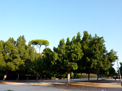 Liban - Le bois des Pins de Beyrouth