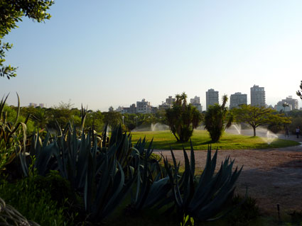 Liban - Le bois des Pins de Beyrouth