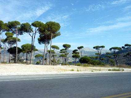 Liban Liban