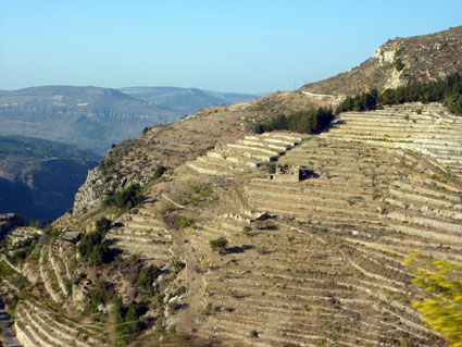 Liban Liban