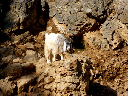 Liban - La Grotte de Jeita