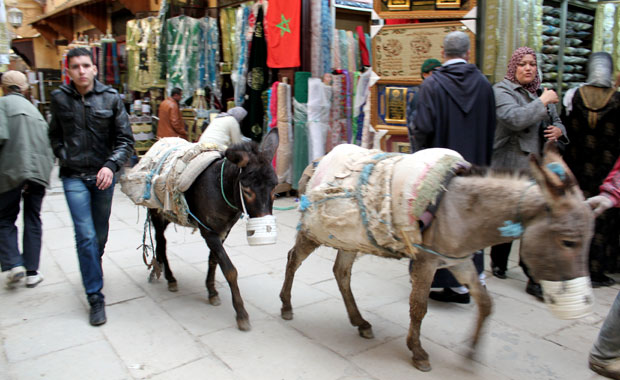 Médina de Fès