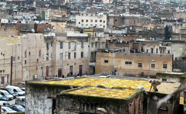 Tanneries de Fès