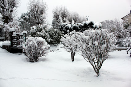 Neige à Viviers