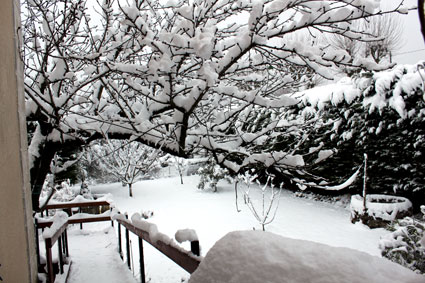 Neige à Viviers