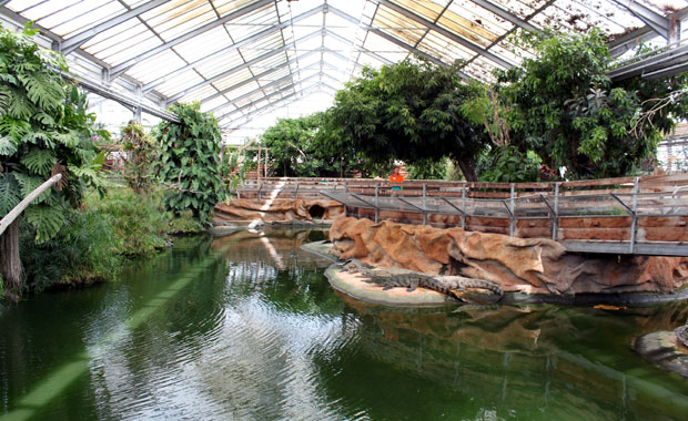 La ferme aux crocodile a Pierrelatte La ferme aux crocodile a Pierrelatte