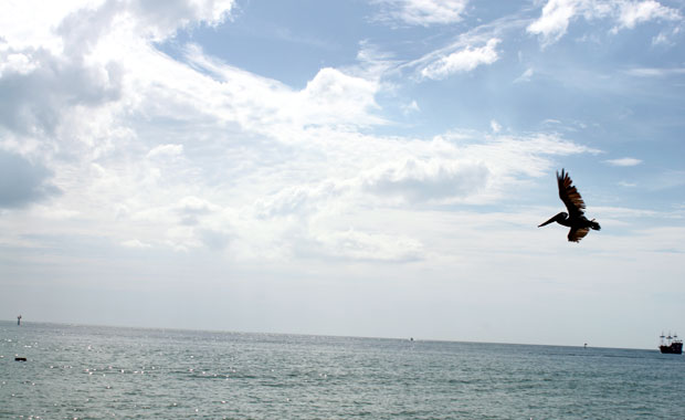 Clearwater Clearwater