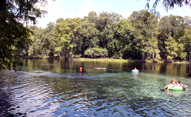 Ginnie Springs