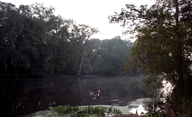 Ginnie Springs