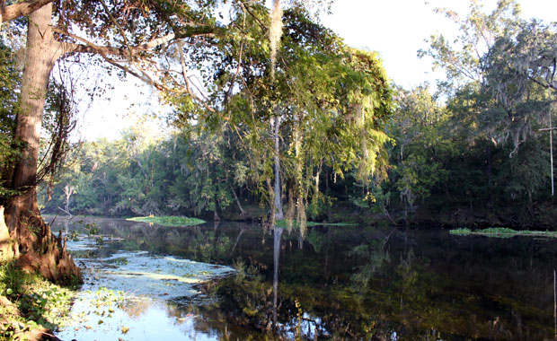 Ginnie Springs