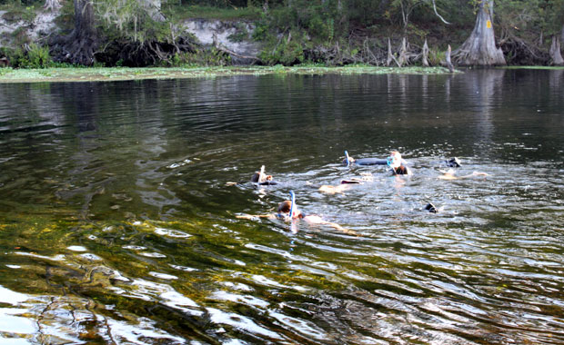 Ginnie Springs