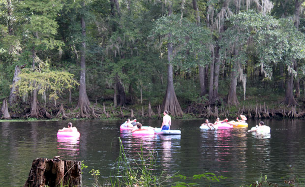 Ginnie Springs