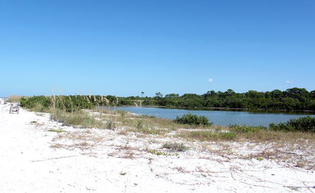 Honeymoon Island