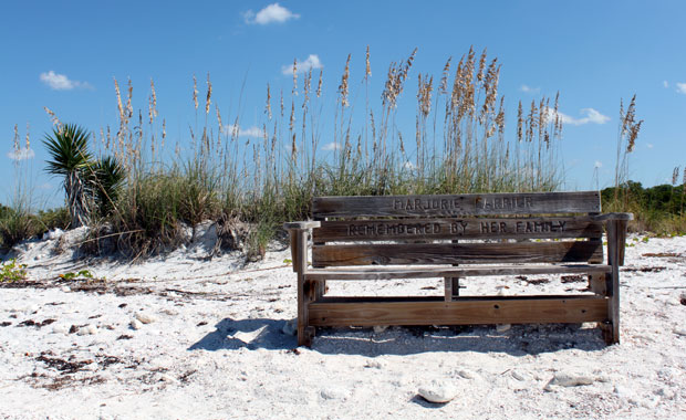 Honeymoon Island