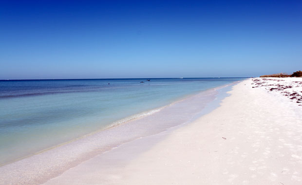 Honeymoon Island