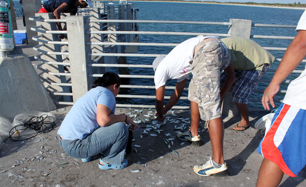 Pier Fort Desoto