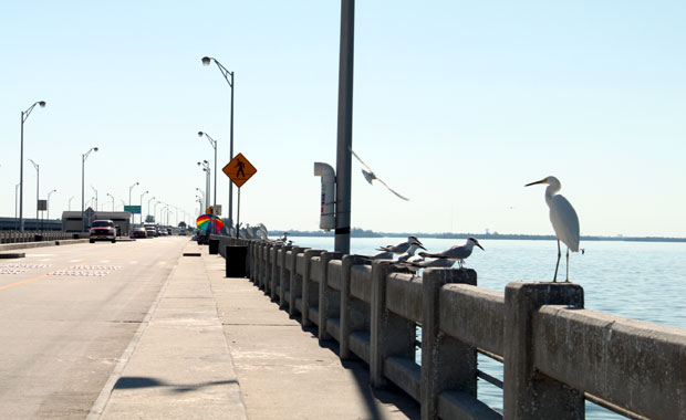 Sunshine Skyway Bridge