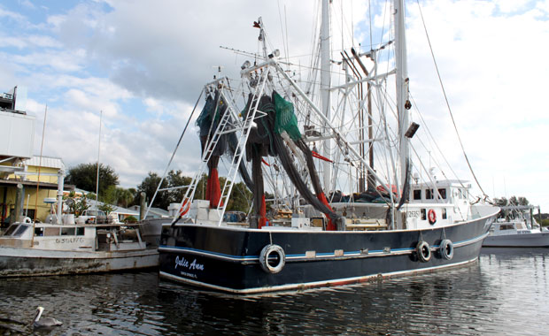 Tour en bateau au large de Tarpon Springs