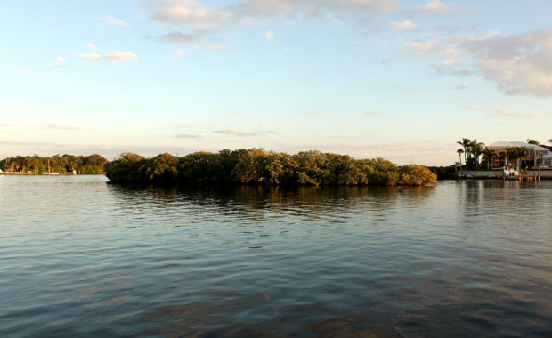 Tour en bateau au large de Tarpon Springs