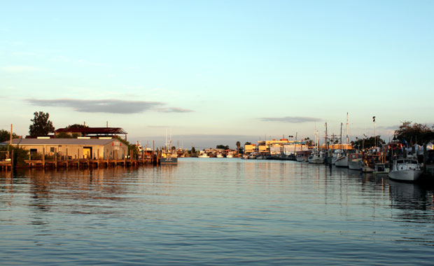 Tour en bateau au large de Tarpon Springs