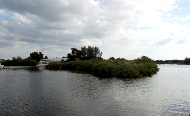 Tour en bateau au large de Tarpon Springs