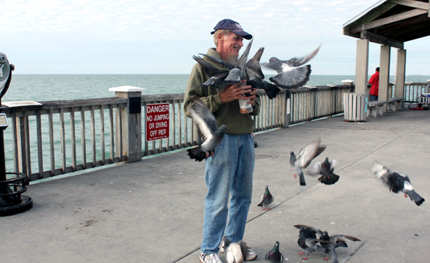 Pier 60 Clearwater Beach