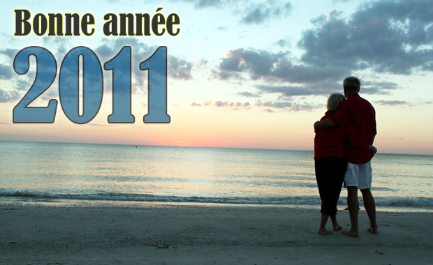 Bonne annee 2011