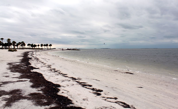 Howard Park - Tarpon Springs