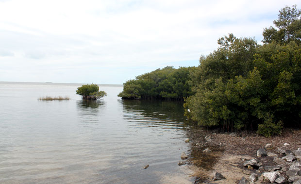 Howard Park - Tarpon Springs