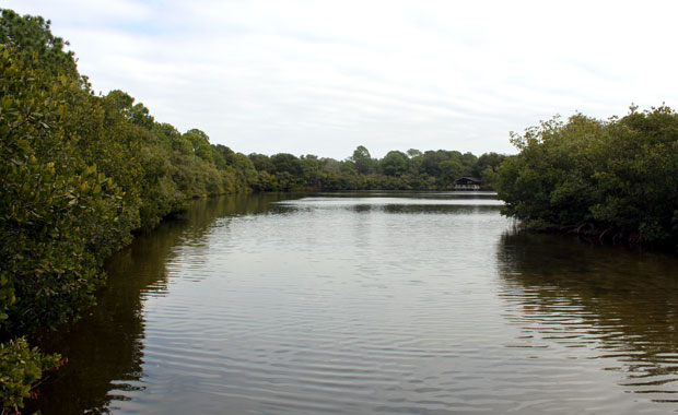 Howard Park - Tarpon Springs