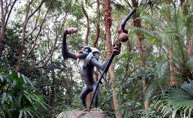 Disney Animal Kingdom - Section Afrique