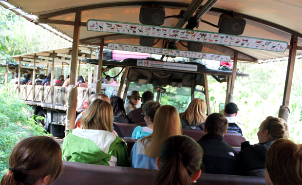 Disney Animal Kingdom - Section Afrique