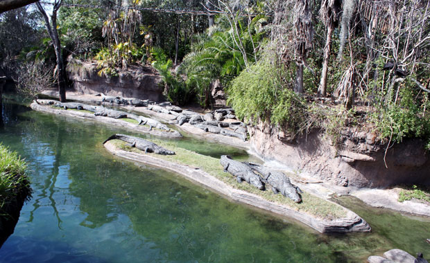 Disney Animal Kingdom - Section Afrique