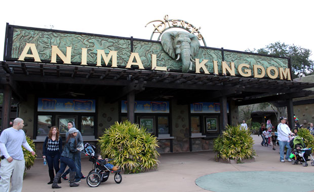 Disney Animal Kingdom