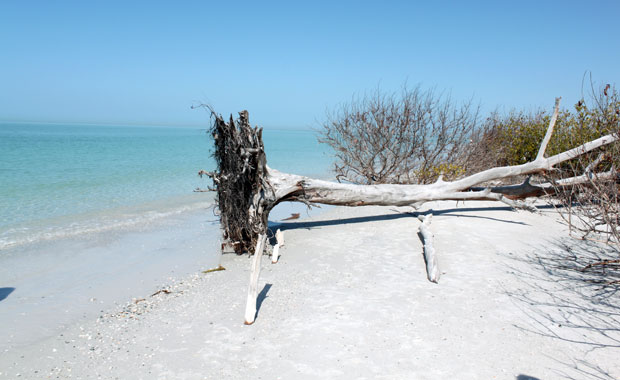 Fort Desoto