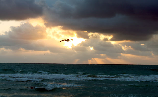 La plage de Miami Beach