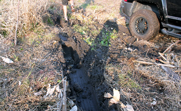 Offroading Experience Clearwater