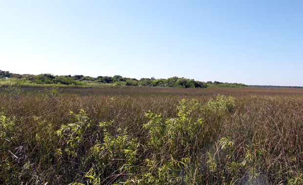 Everglades - Entrée de Homestead