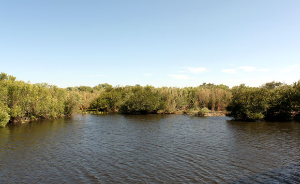 Everglades - Entrée de Homestead