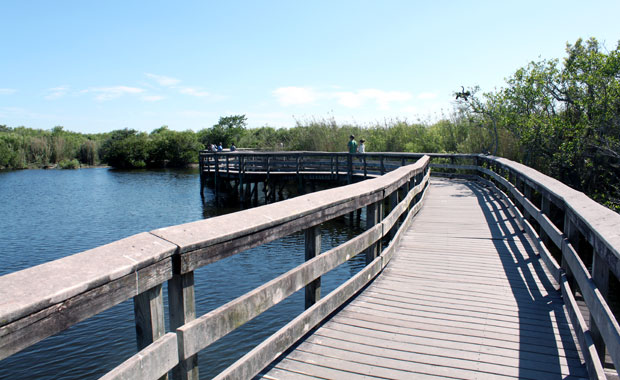 Everglades - Entrée de Homestead