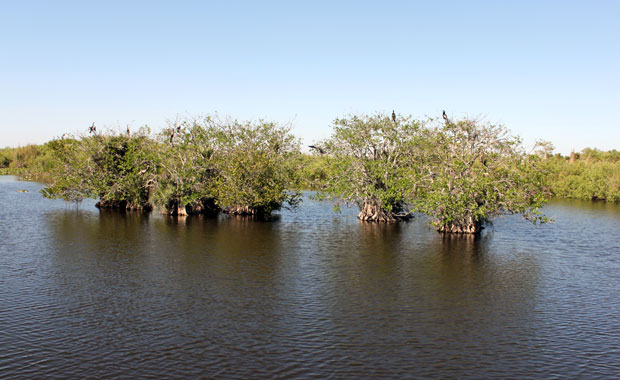 Everglades - Entrée de Homestead