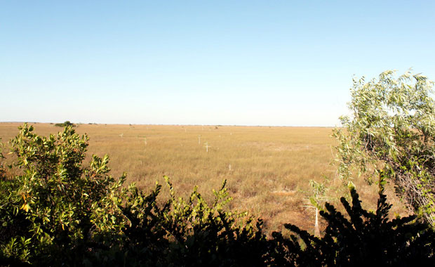 Everglades - Objectif coucher de soleil a Flamingo