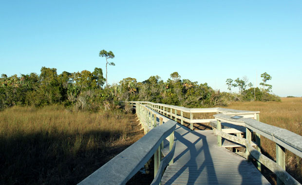 Everglades - Objectif coucher de soleil a Flamingo