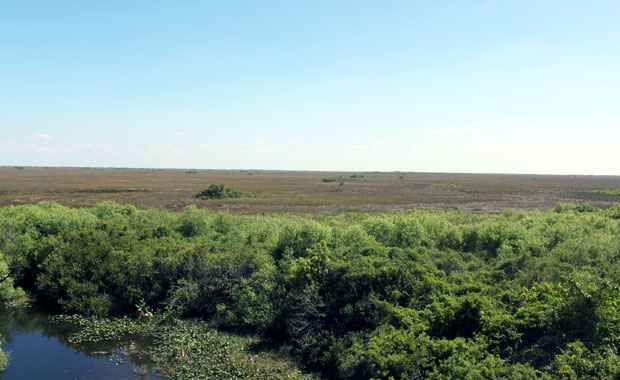 Everglades : Entrée Shark Valley