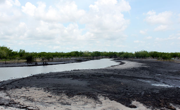 Airboat tour dans les Everglades