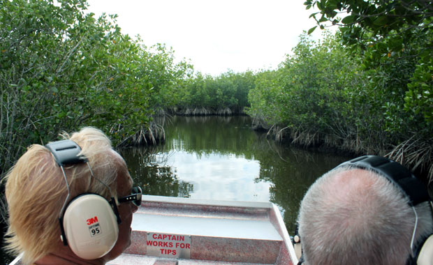 Airboat tour dans les Everglades