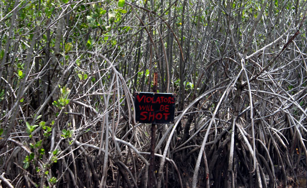 Airboat tour dans les Everglades